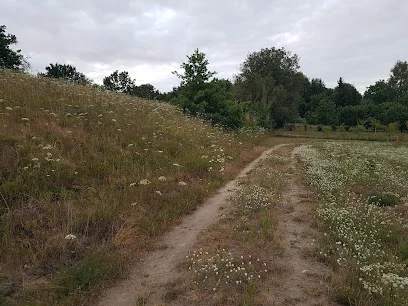 Ozy Kiczarowskie (rezerwat geologiczny)