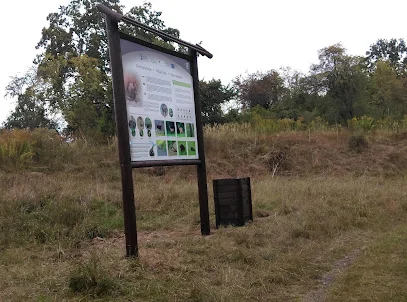 Zamek w Szadzku